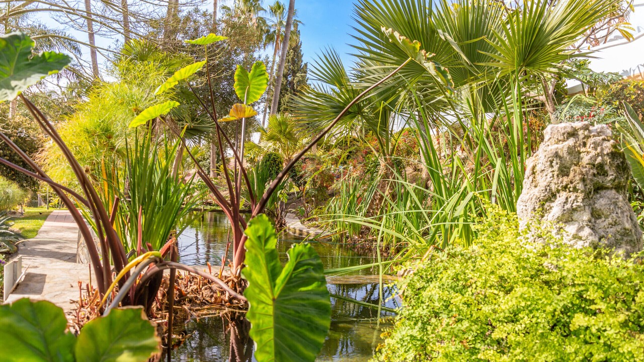 Photo of Outdoor in Oasis del Capistrano