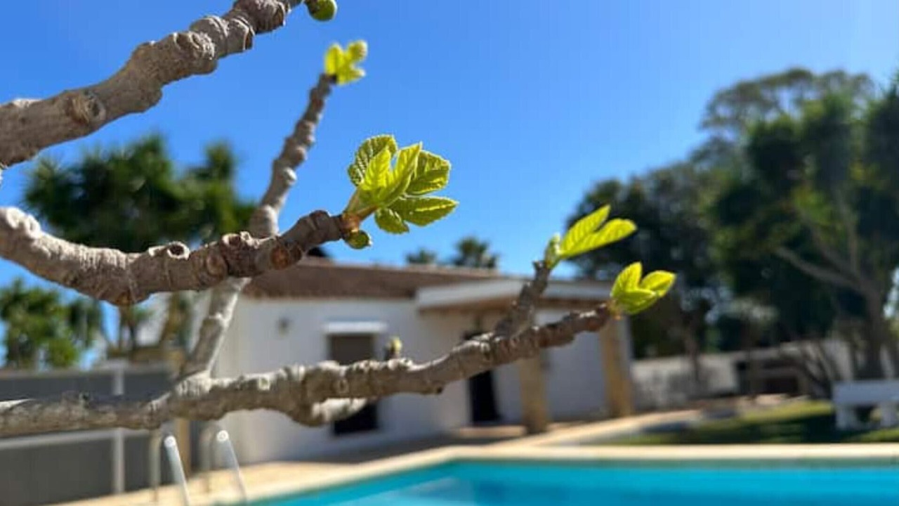Photo of Outdoor in Conil de la Frontera