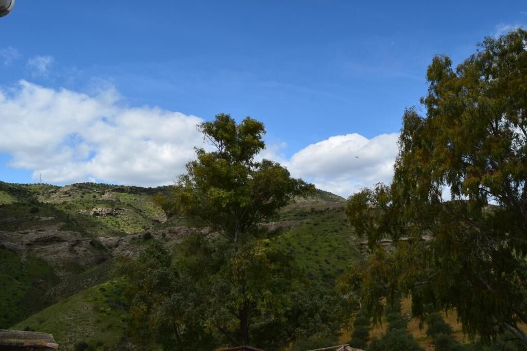 Photo of Others in Pizarra