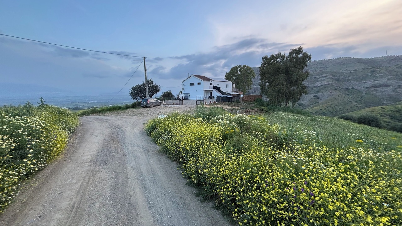 Photo of Others in Pizarra