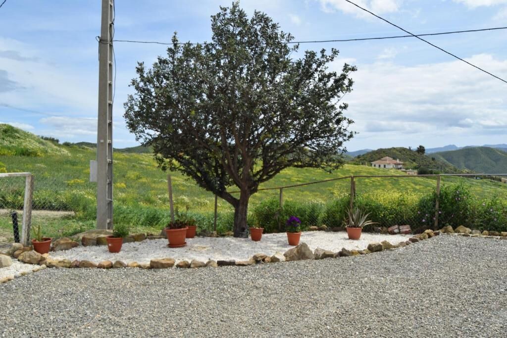 Photo of Outdoor in Pizarra