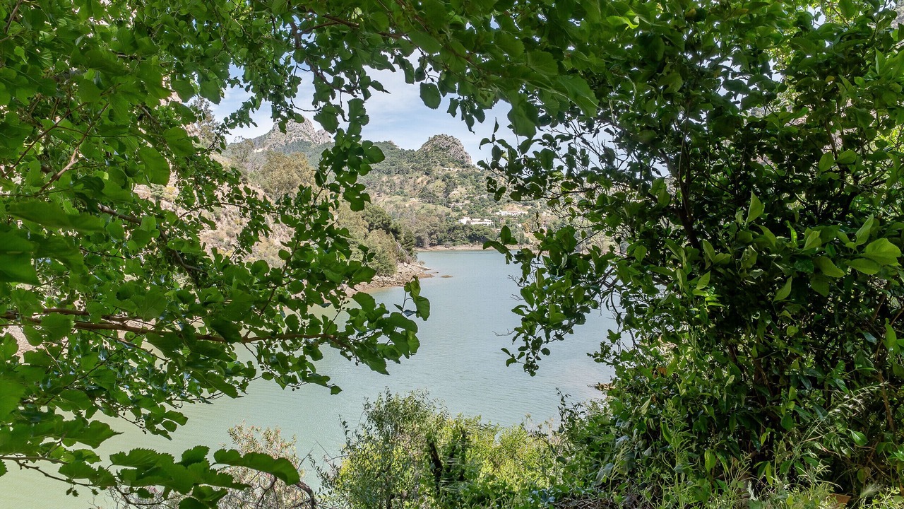 Photo of Others in Ardales
