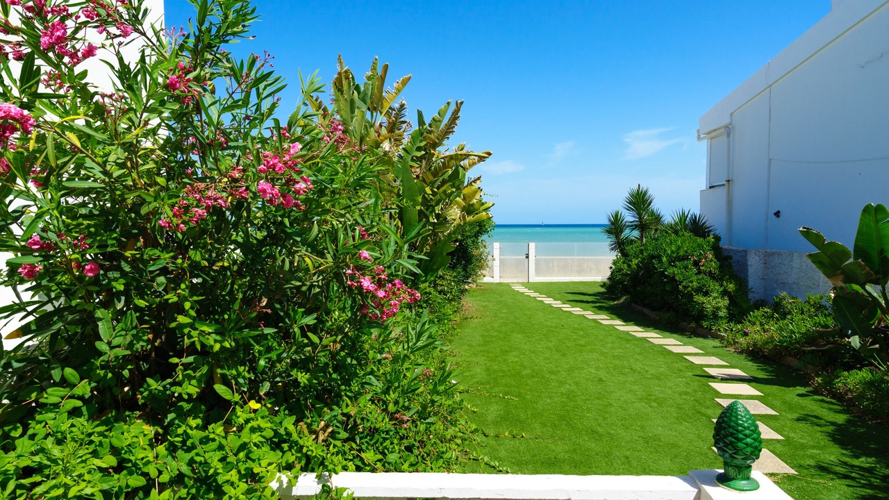 Photo of Outdoor in Bahia Dorada