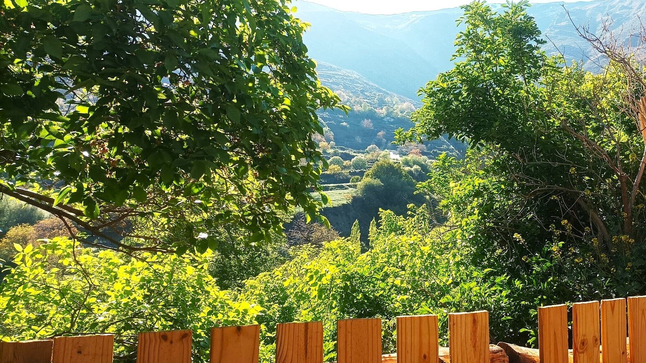 Photo of Others in Trevelez