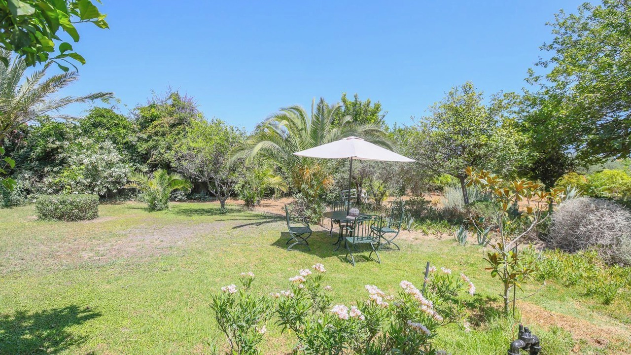 Photo of Outdoor in Arahal
