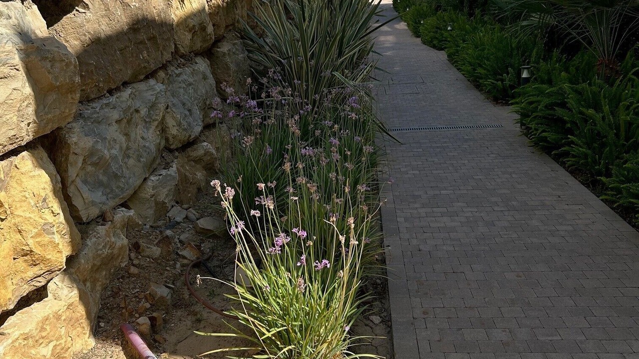 Photo of Outdoor in Manilva