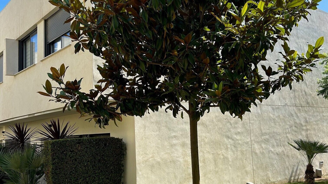 Photo of Outdoor in Manilva