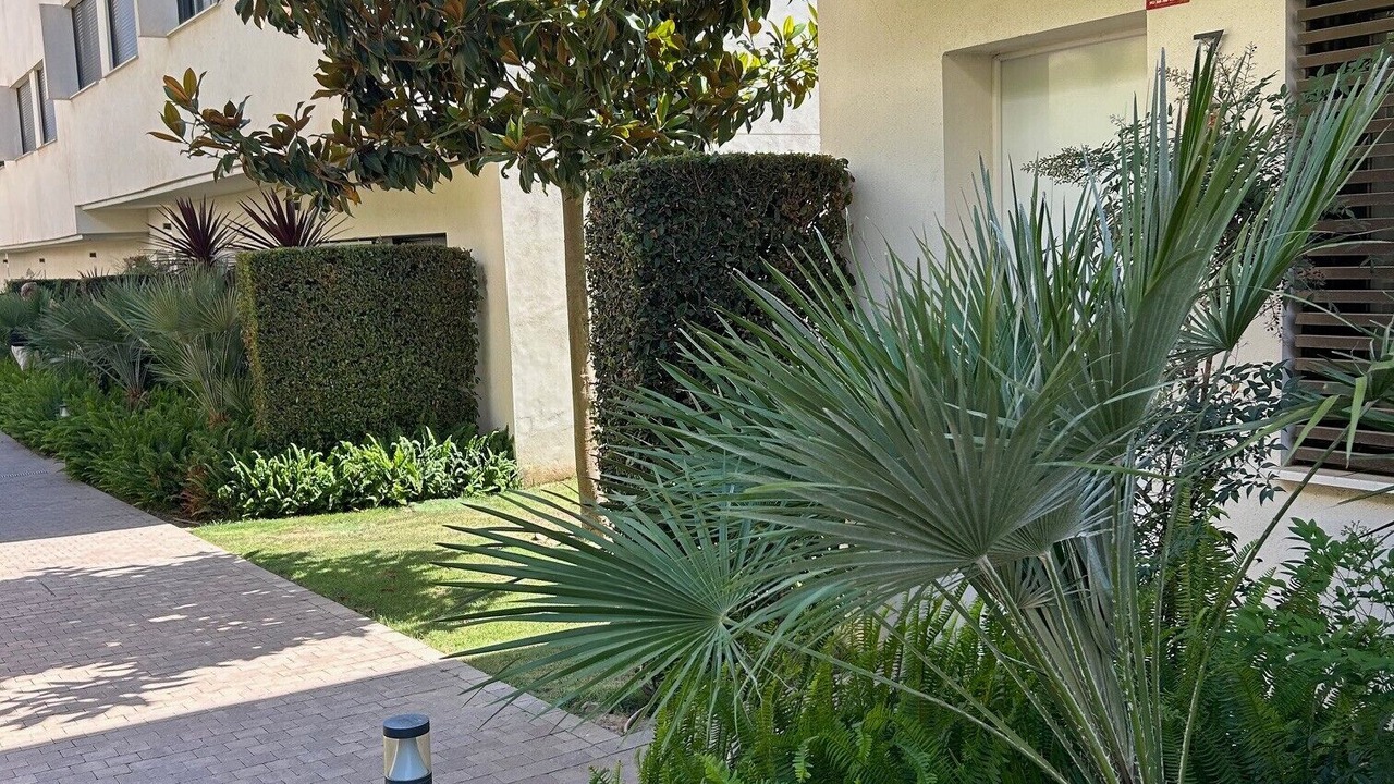 Photo of Outdoor in Manilva