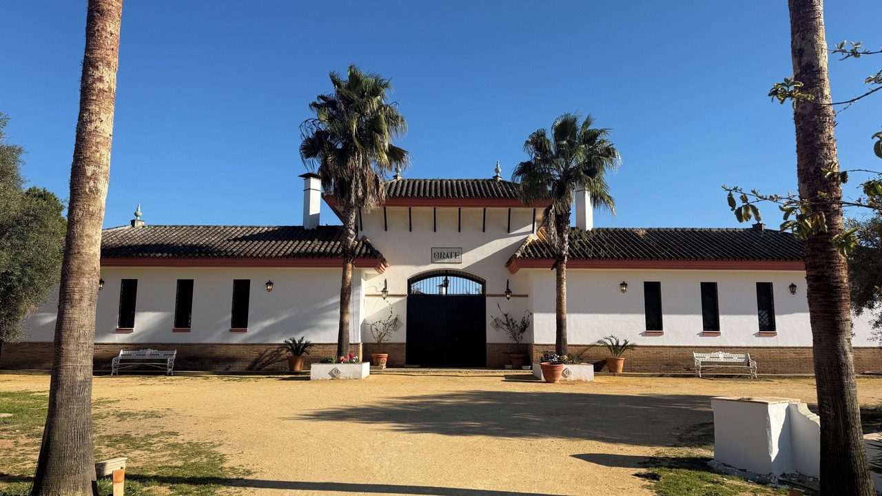 Photo of Outdoor in Mairena del Alcor