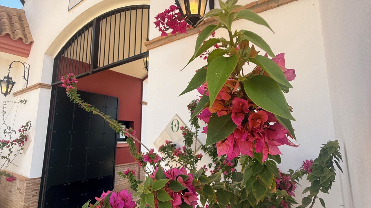Photo of Outdoor in Mairena del Alcor