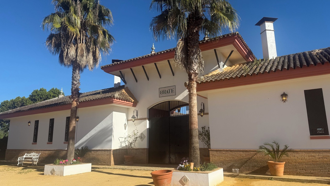 Photo of Outdoor in Mairena del Alcor