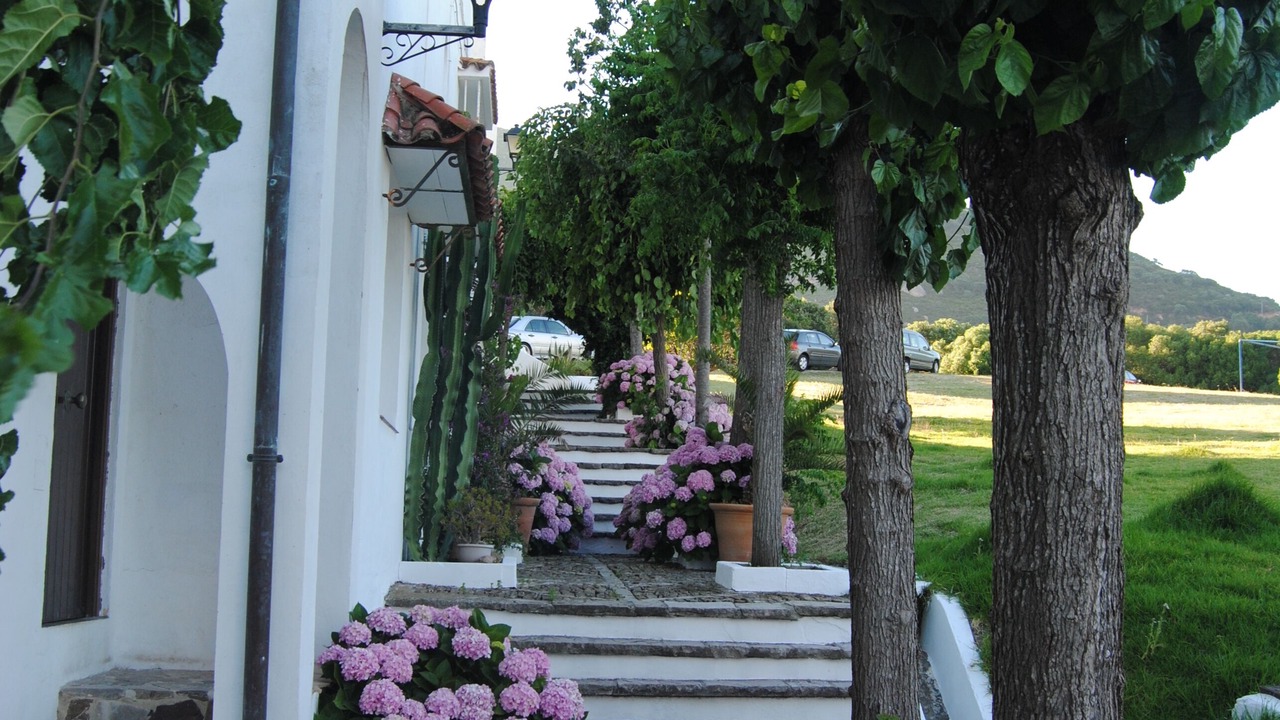 Photo of Outdoor in El Cuarton