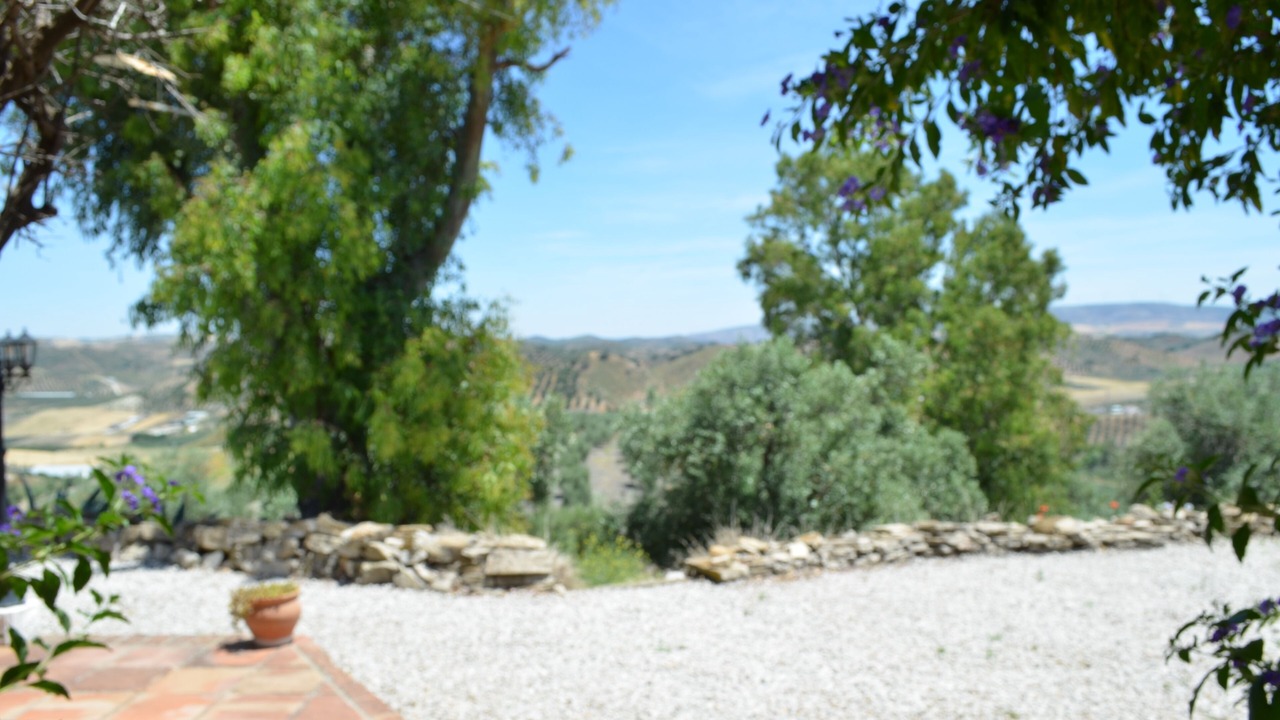 Photo of Outdoor in Algamitas