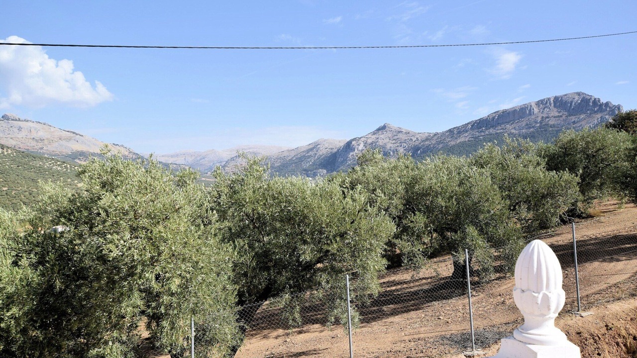 Photo of Others in Villanueva del Trabuco