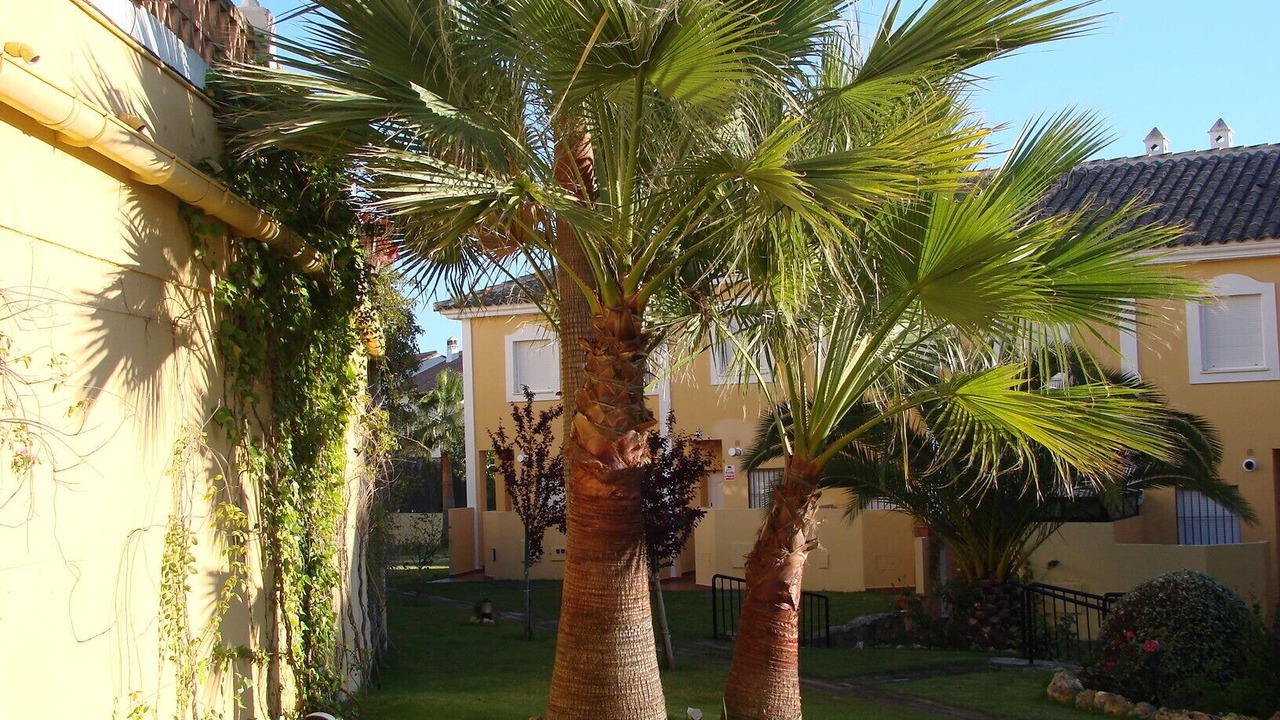 Photo of Outdoor in Islantilla