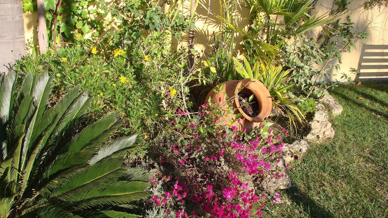 Photo of Outdoor in Islantilla