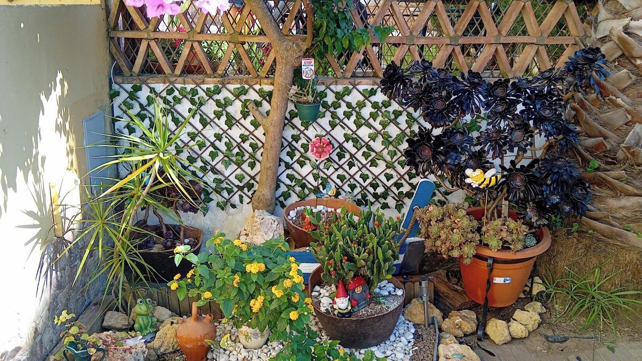 Photo of Outdoor in Islantilla
