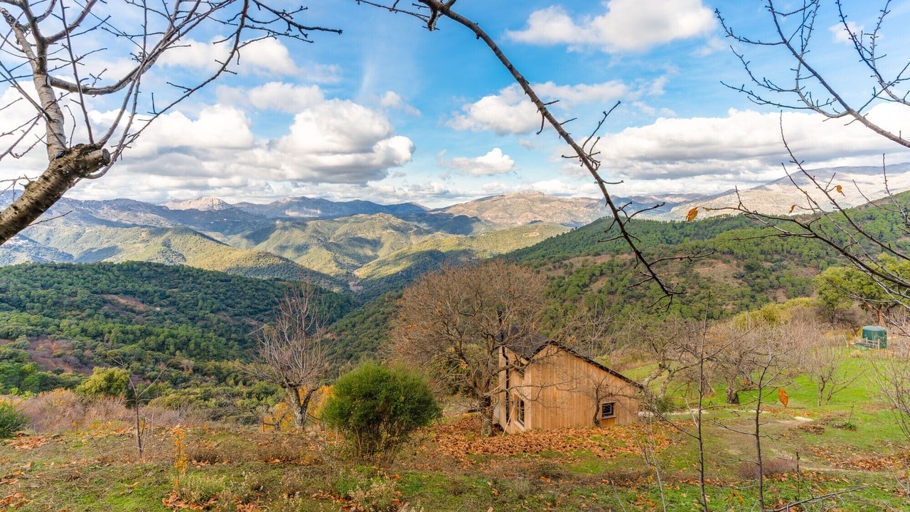 Photo of Others in Jubrique