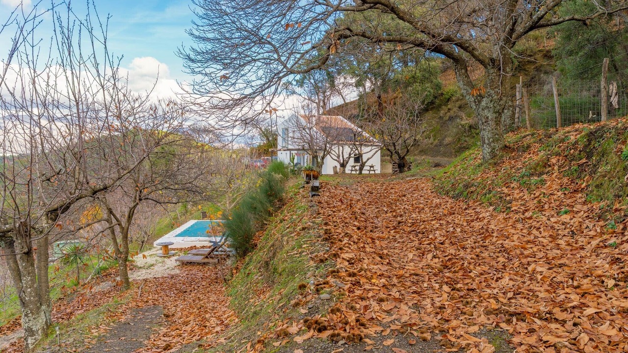 Photo of Outdoor in Jubrique