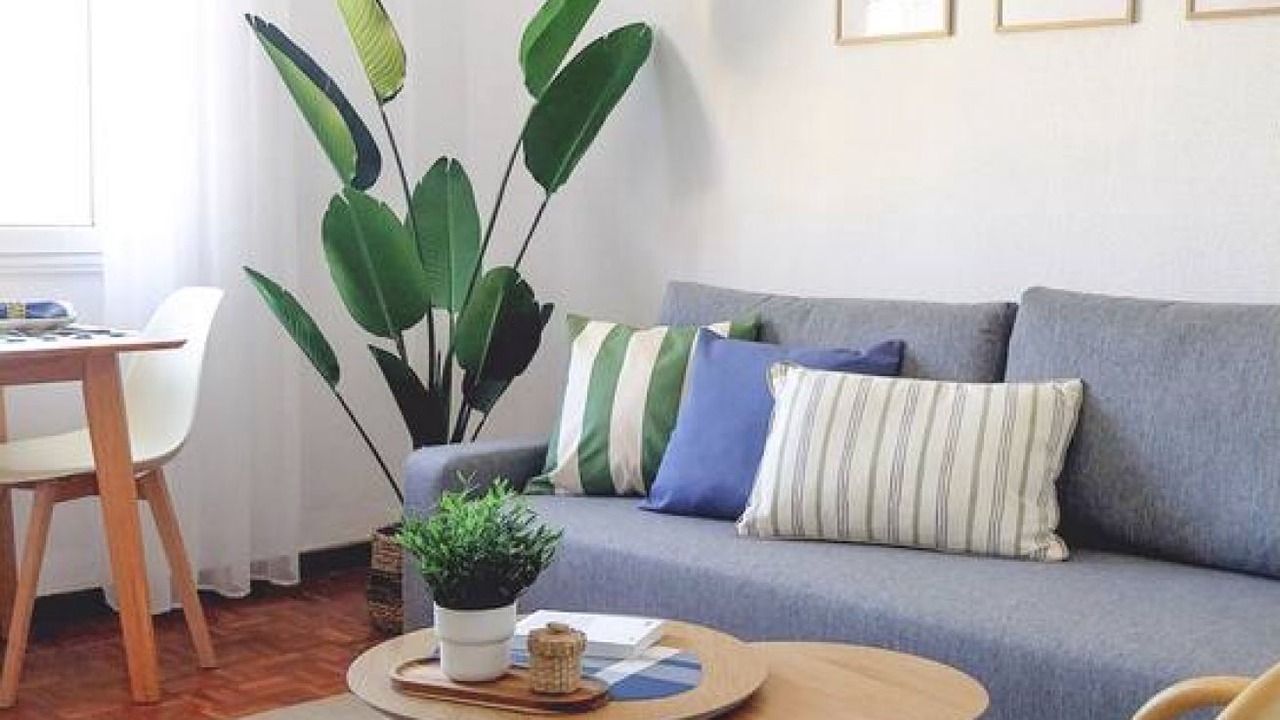 Photo of Livingroom in Cimadevilla