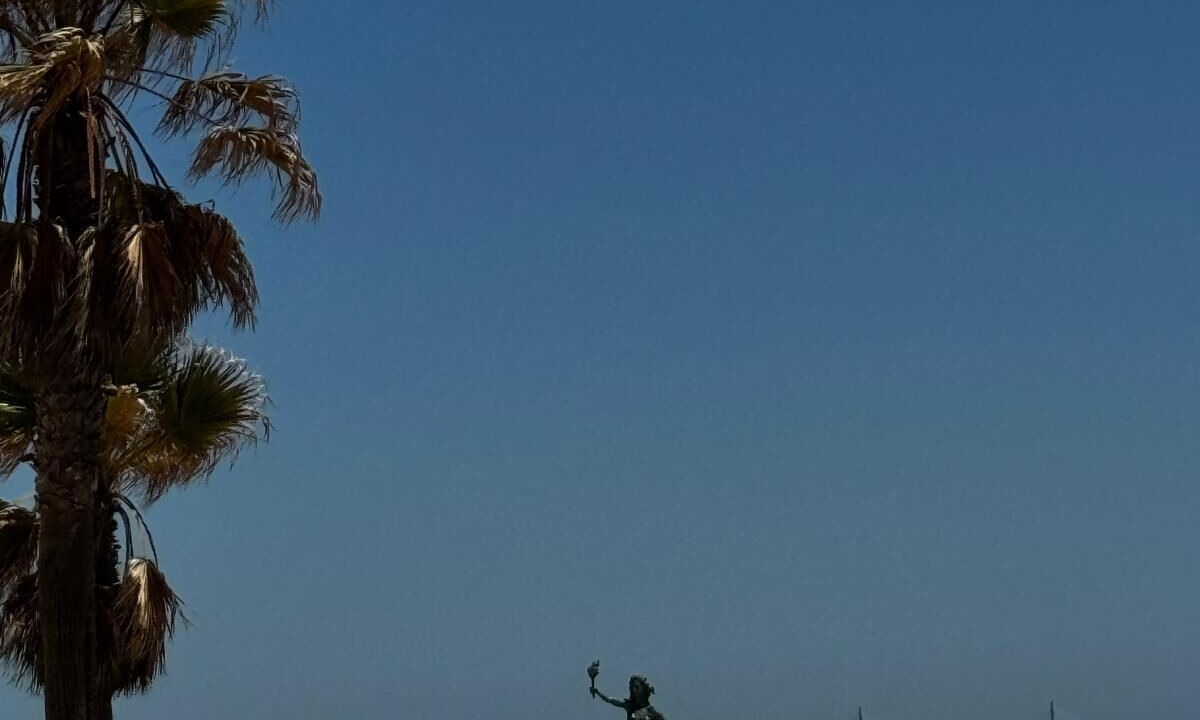 Photo of Others in Rota