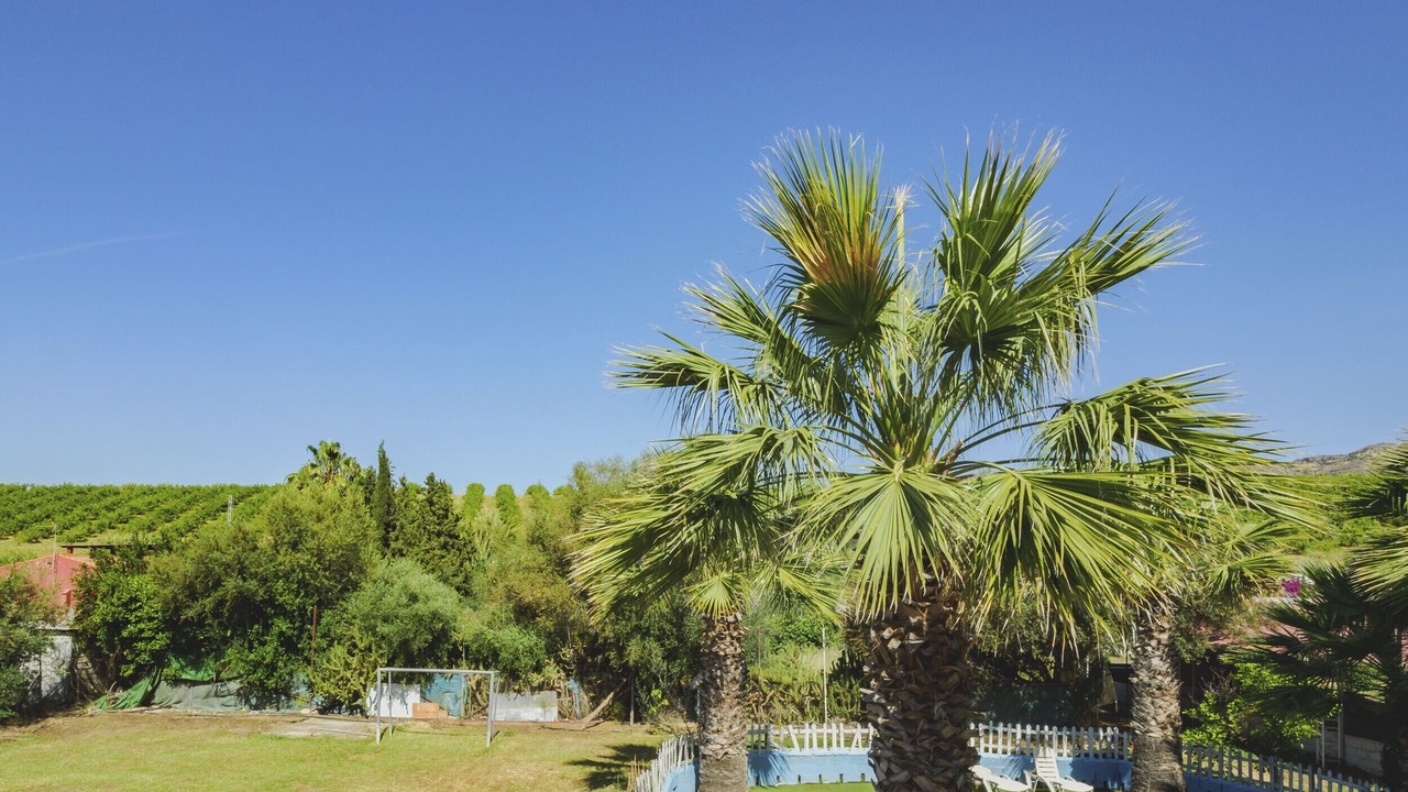 Photo of Outdoor in Pizarra