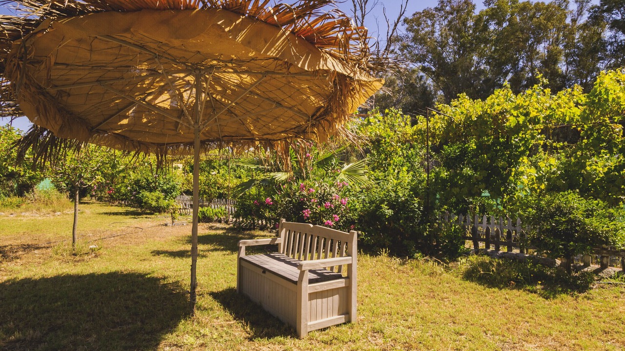 Photo of Outdoor in Pizarra