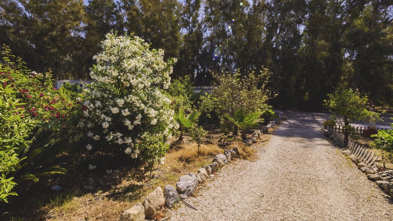 Photo of Outdoor in Pizarra
