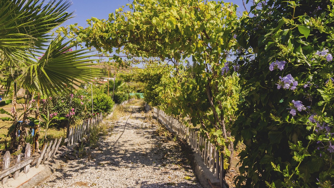 Photo of Outdoor in Pizarra