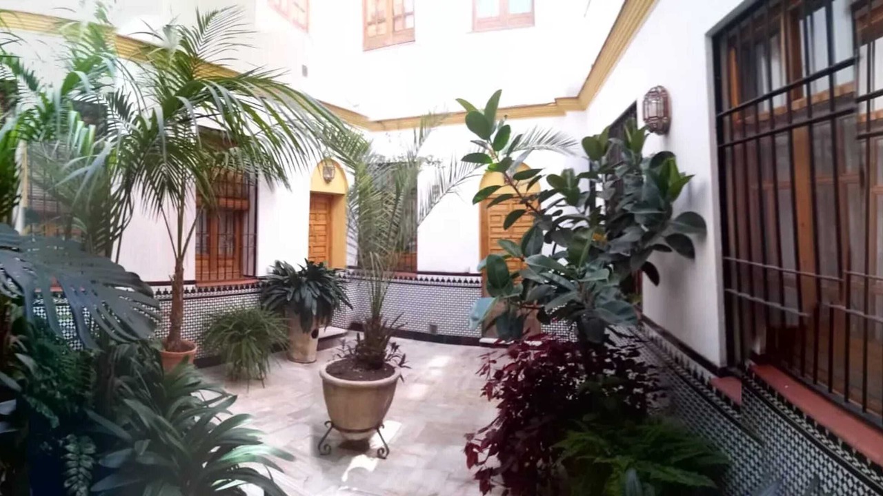 Photo of Outdoor in La Trinidad-San Juan y Todos los Santos