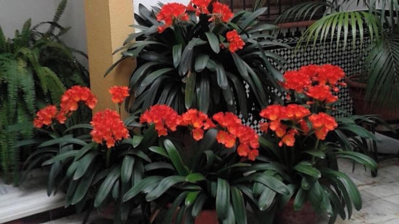 Photo of Outdoor in La Trinidad-San Juan y Todos los Santos