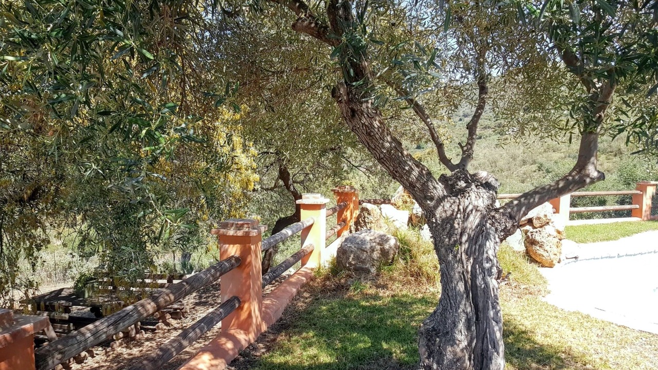 Photo of Outdoor in Puerto Serrano