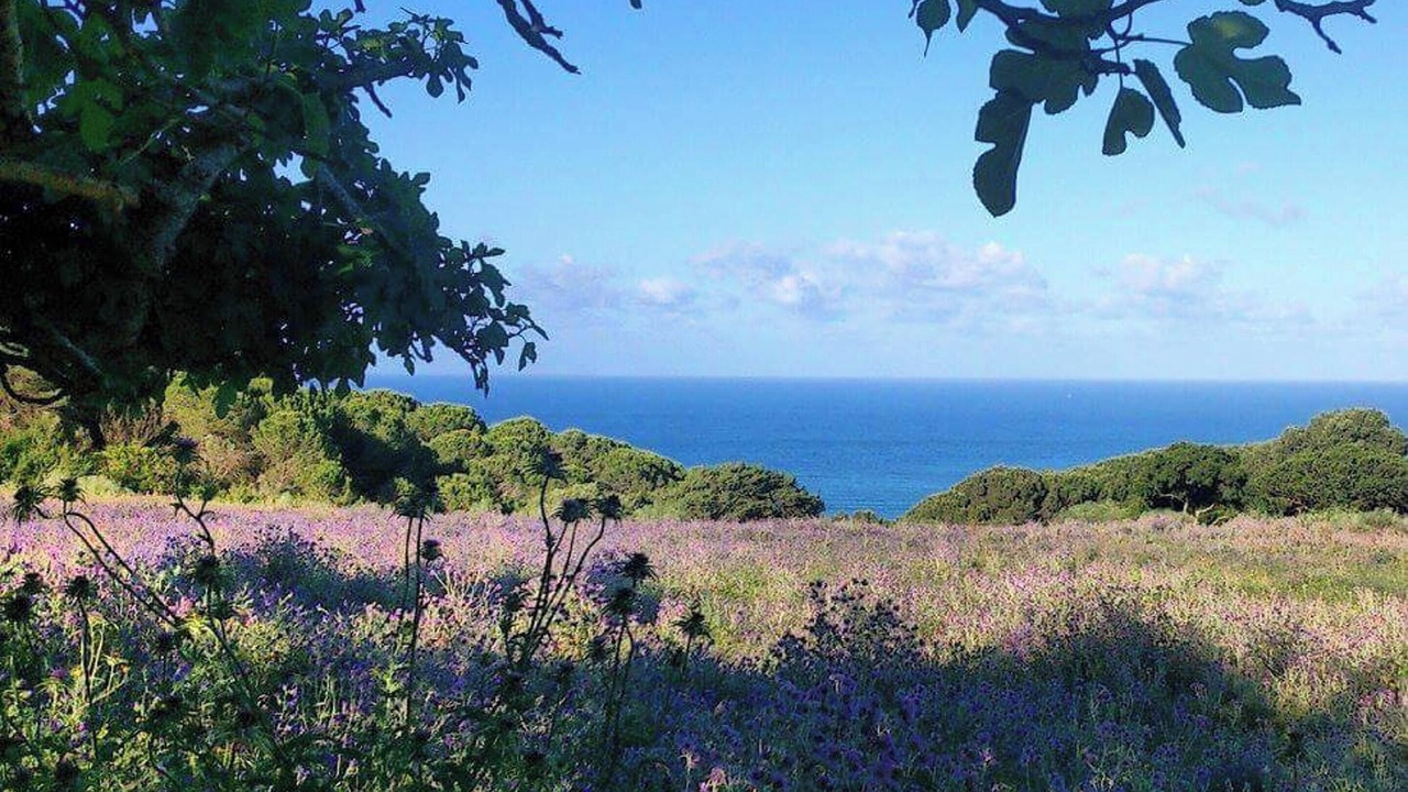 Photo of Others in Bolonia