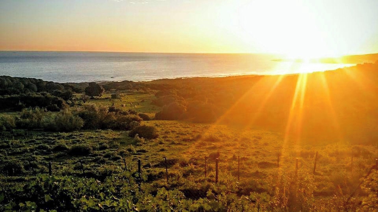 Photo of Others in Bolonia