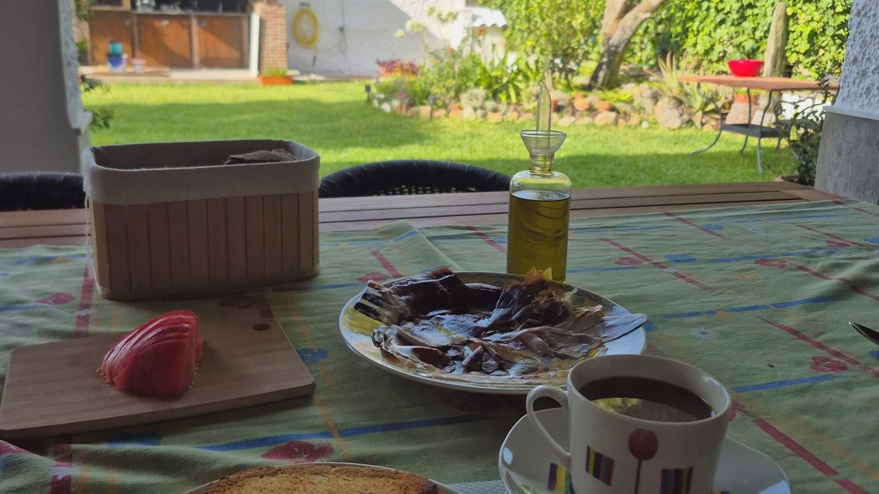 Photo of Outdoor in Los Canos de Meca