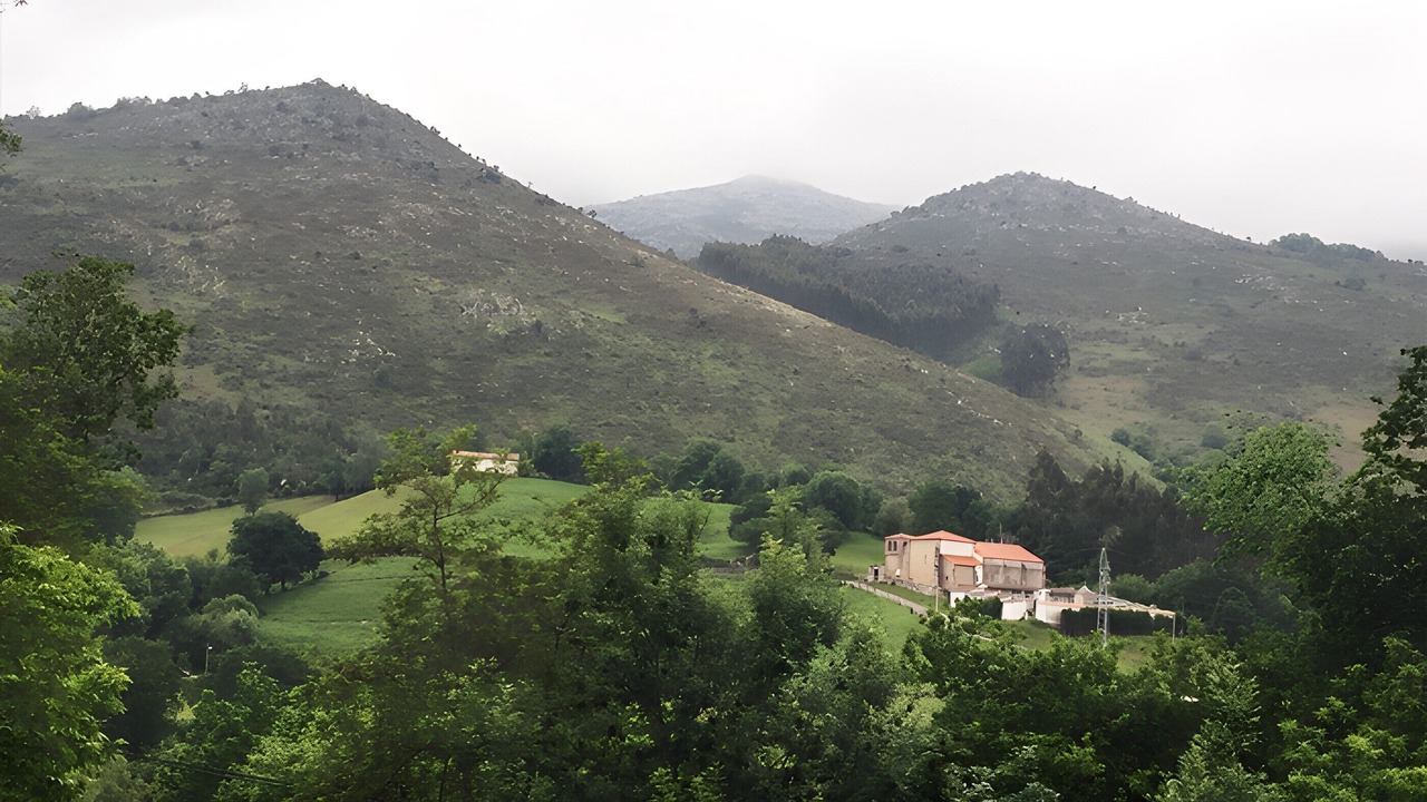 Photo of Others in Celis