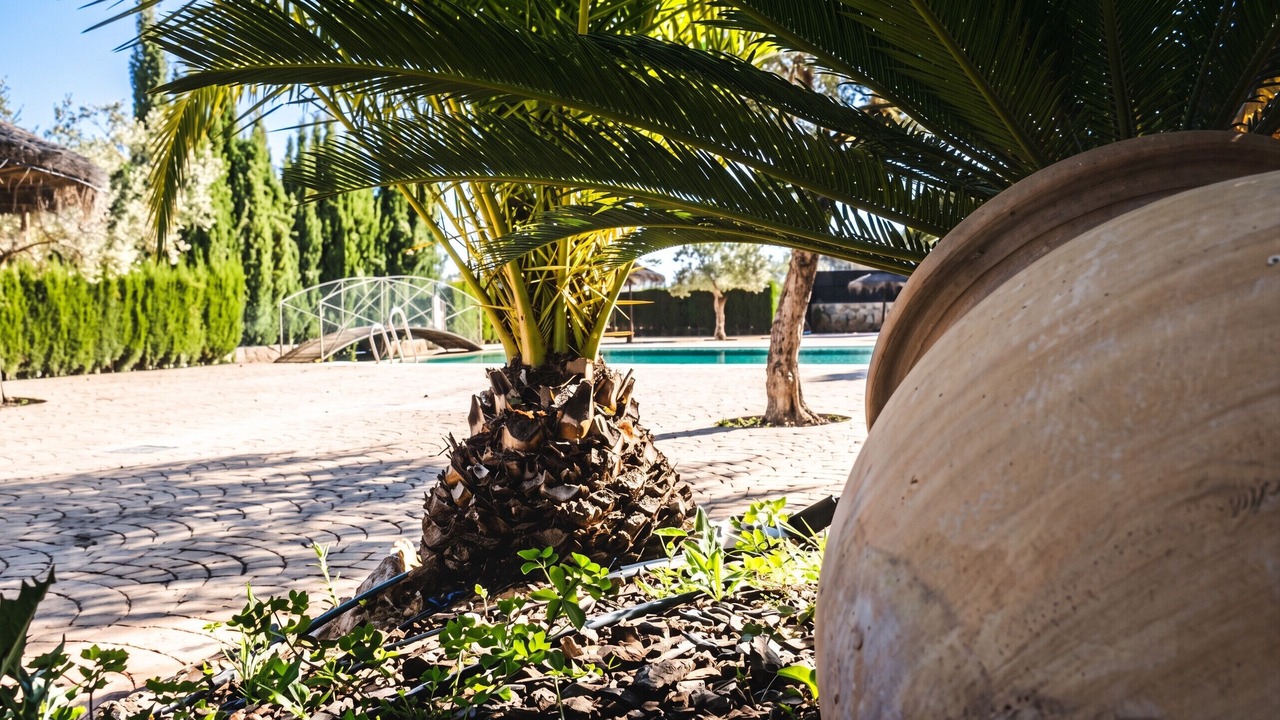 Photo of Outdoor in Estepa