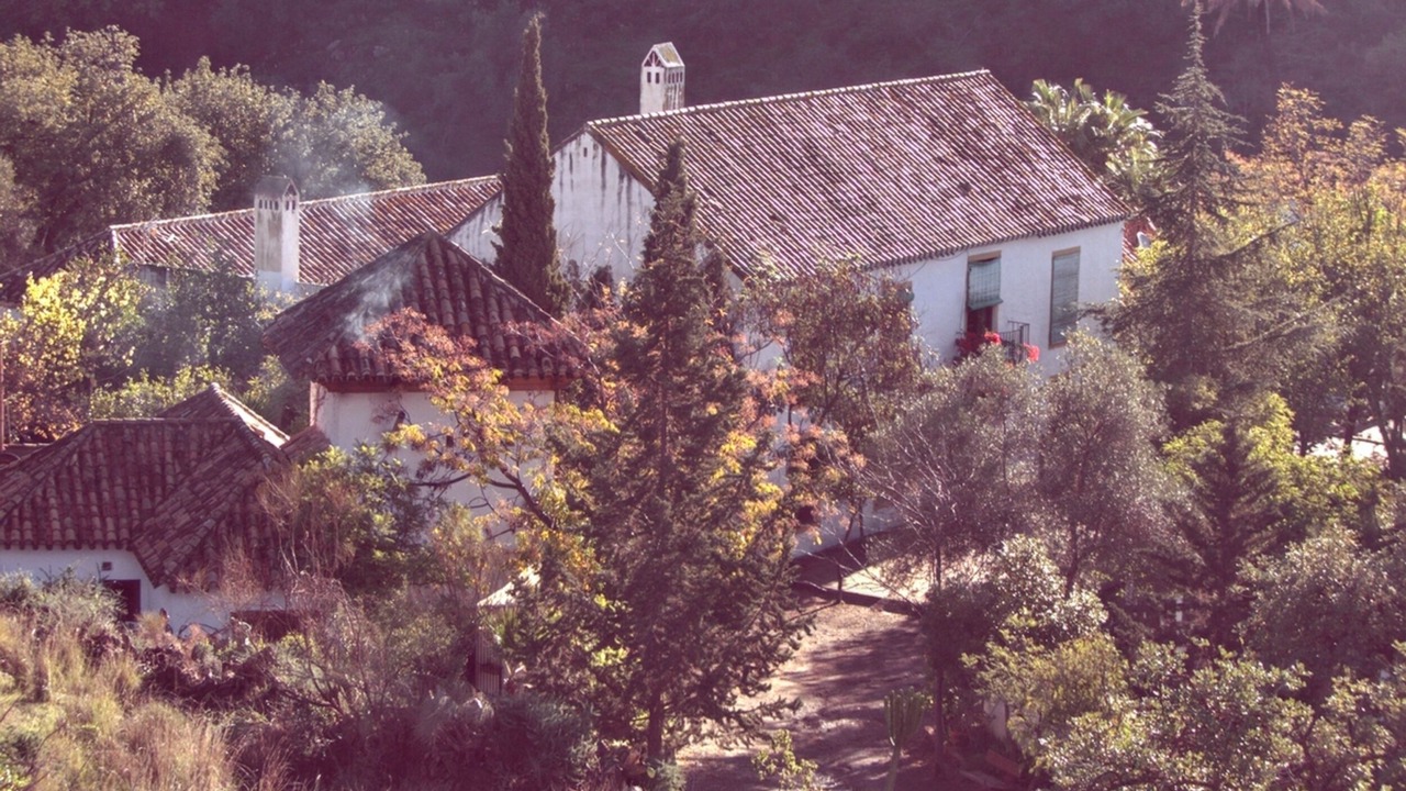 Photo of Others in Puerto de la Torre