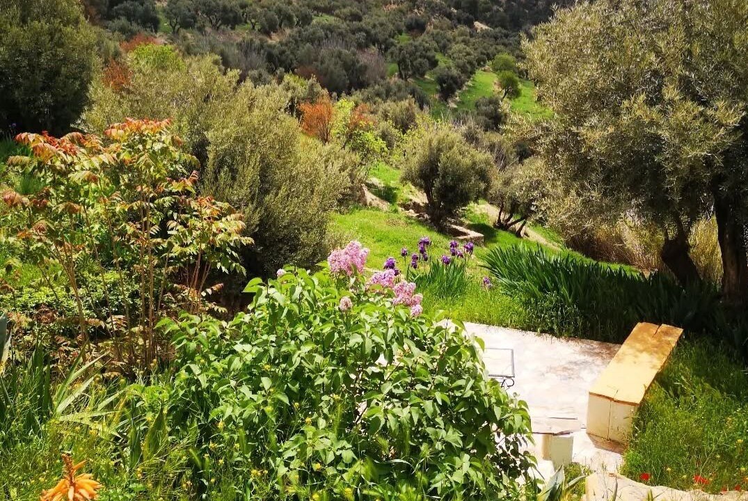 Photo of Outdoor in Castril