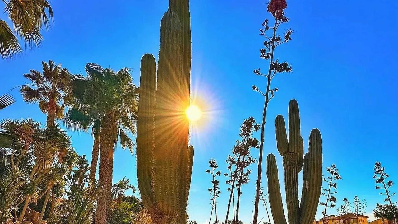 Photo of Outdoor in Cunas