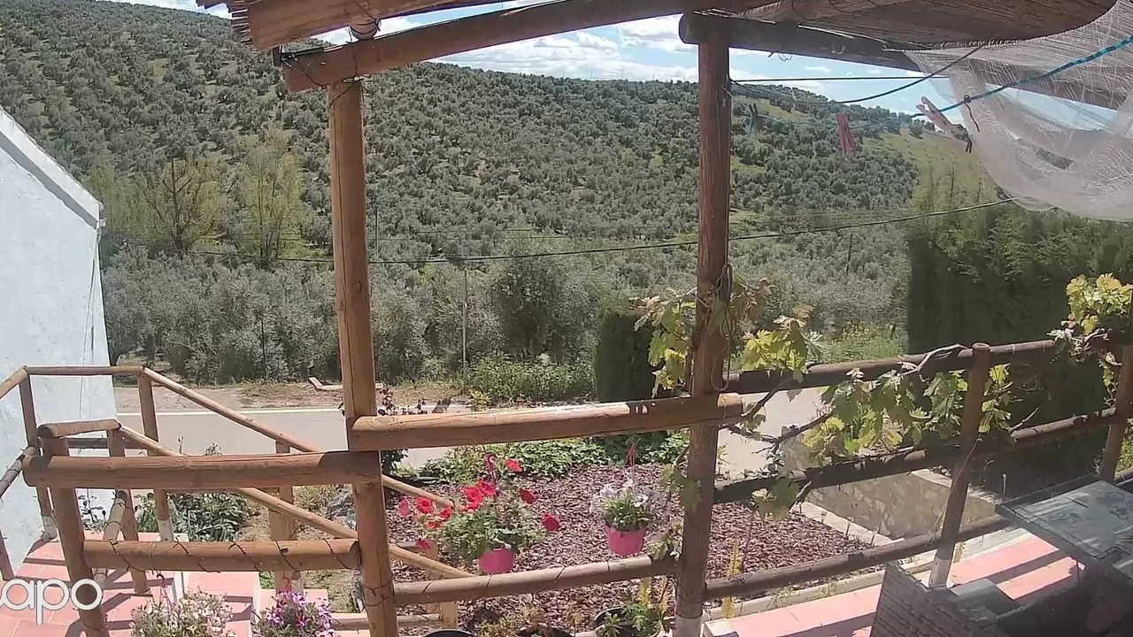 Photo of Others in Villanueva de Algaidas