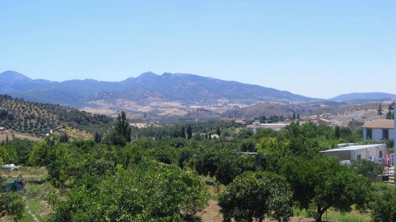 Photo of Others in Algodonales