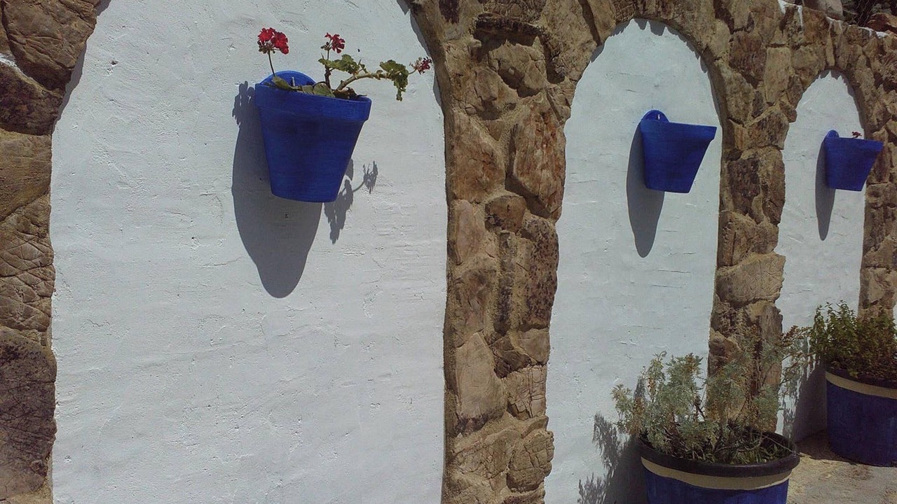 Photo of Others in Algodonales