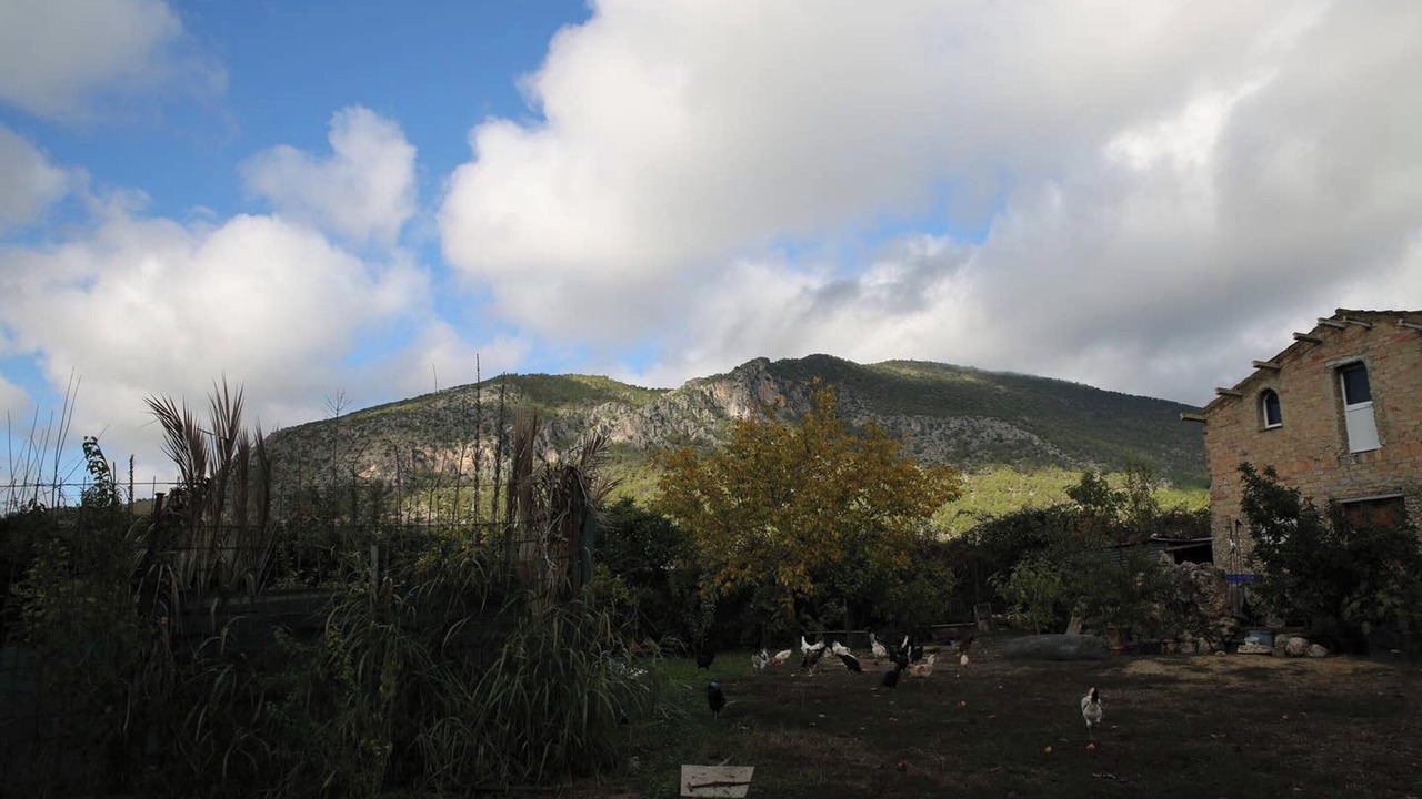 Photo of Others in Algodonales