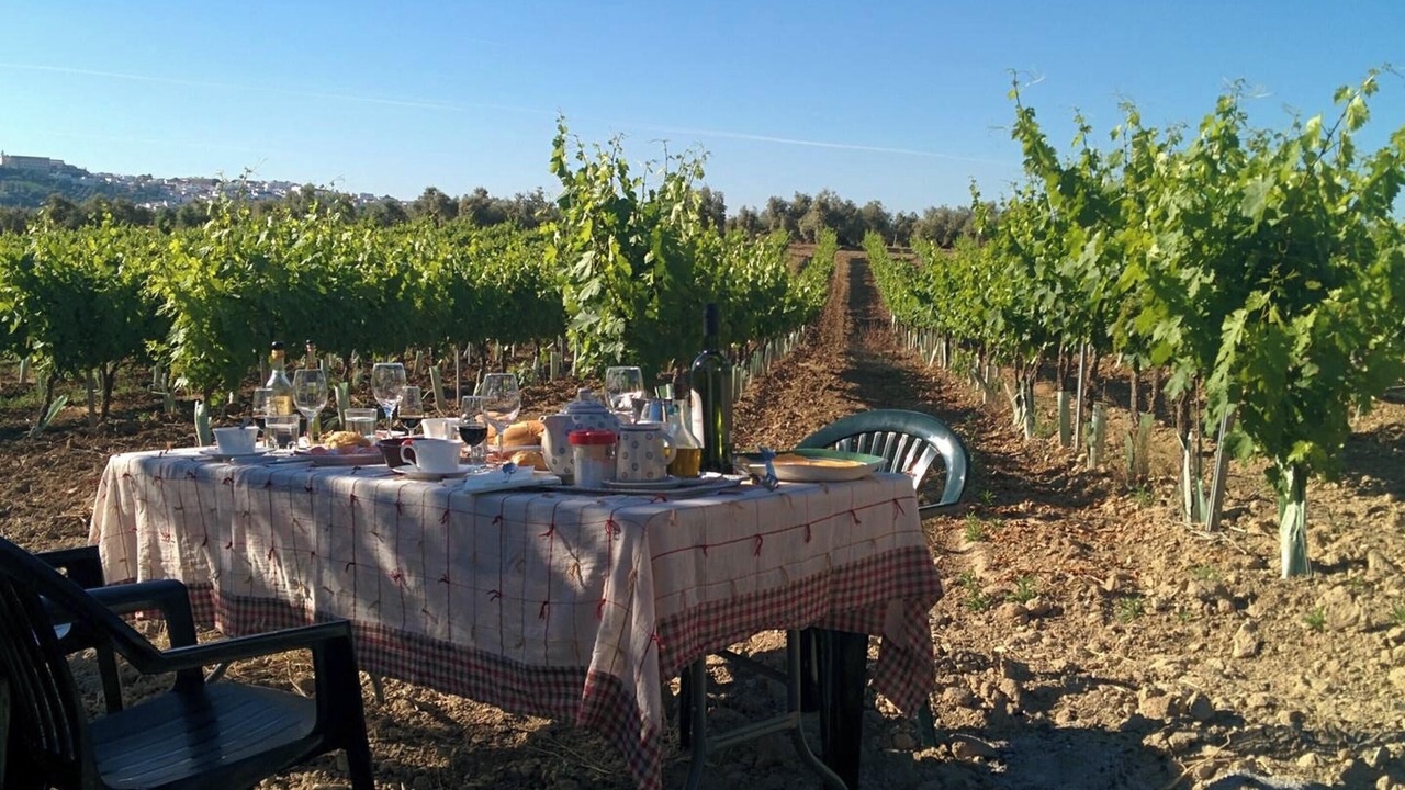 Photo of Outdoor in Montilla