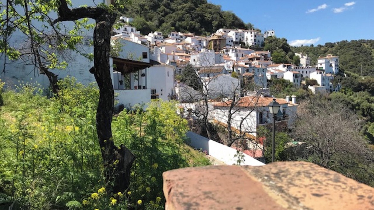 Photo of Others in Benalauria