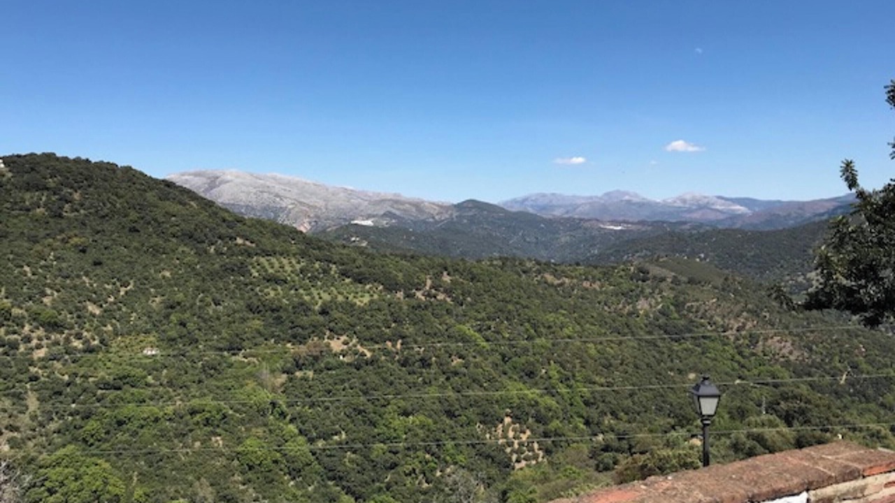 Photo of Others in Benalauria