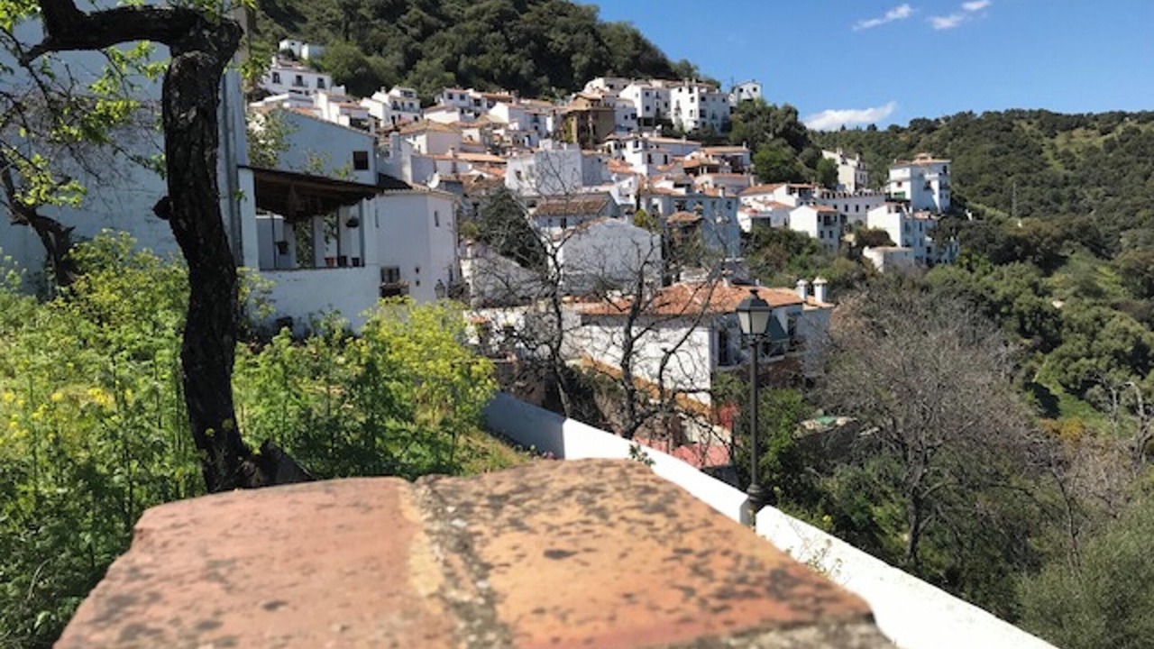 Photo of Others in Benalauria