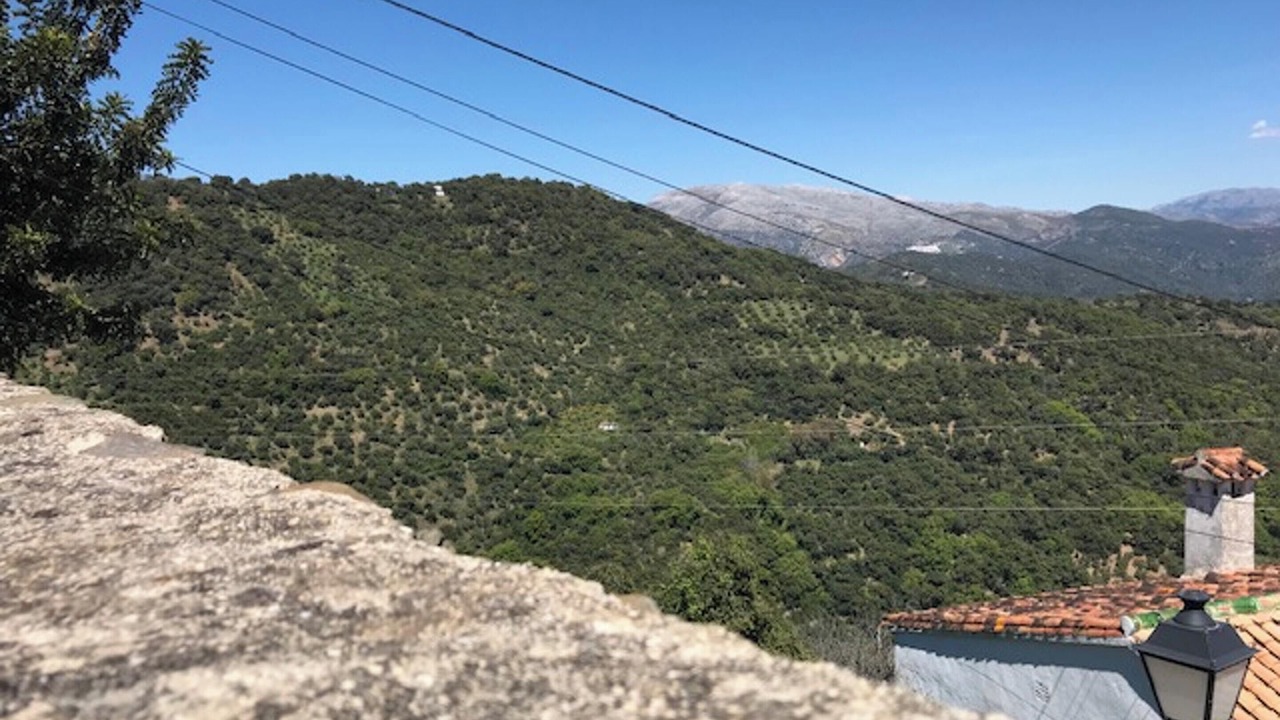 Photo of Others in Benalauria