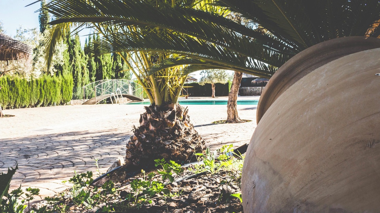 Photo of Outdoor in Estepa